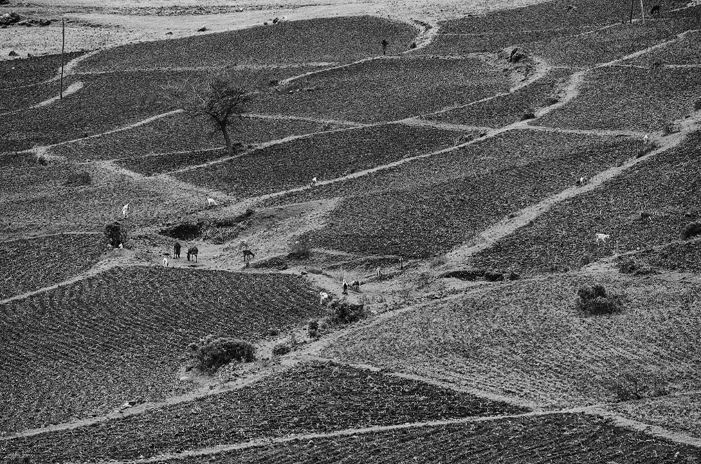 Aksum - Paesaggio intorno al sito ove sono le tombe del Re Kaleb e Gebre